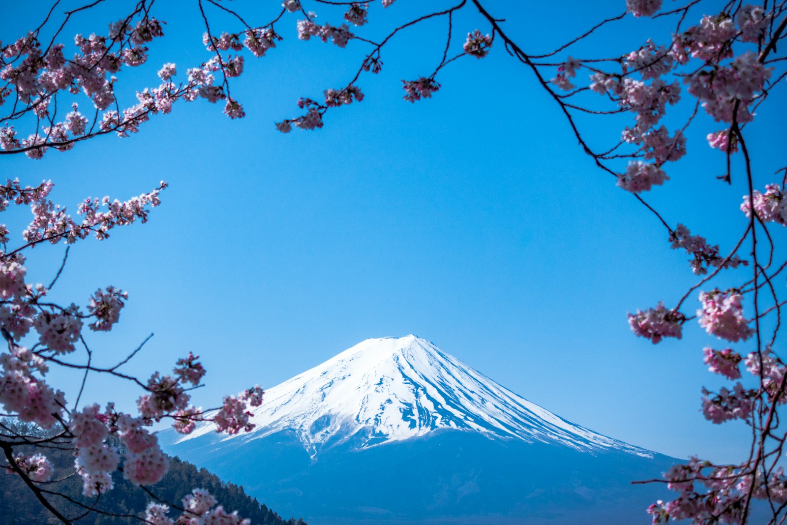 Beten in Japan: Moscheen, Gebetsräume und Beten beim Sightseeing (2026)