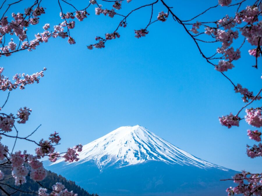 Hokkaido Halal Nature Escape — 7 Days